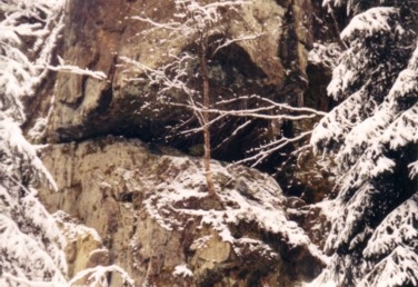 Die Höhle der Weleda