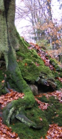 Zwergenhöhle